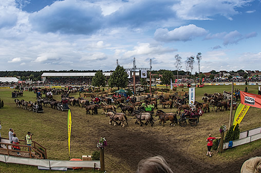 Titanen der Rennbahn - Sponsor
