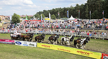 Titanen der Rennbahn - Sponsor